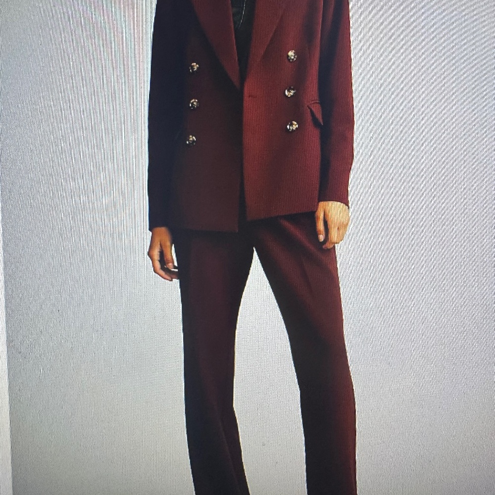 Paige Malbec Blazer and pleated trousers